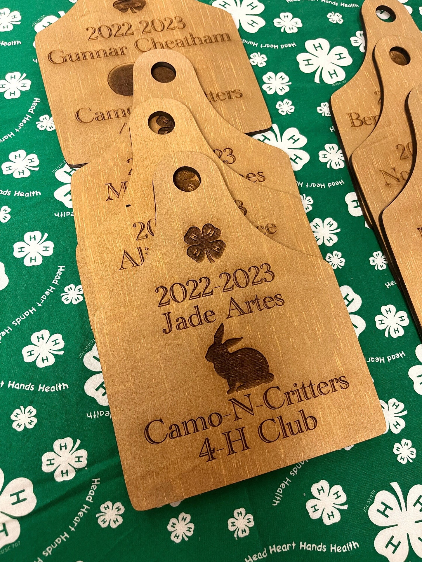 Ear tag 4-H FFA county fair Award plaque, livestock show wooden tag horse show plaque custom designed kids awards for livestock shows