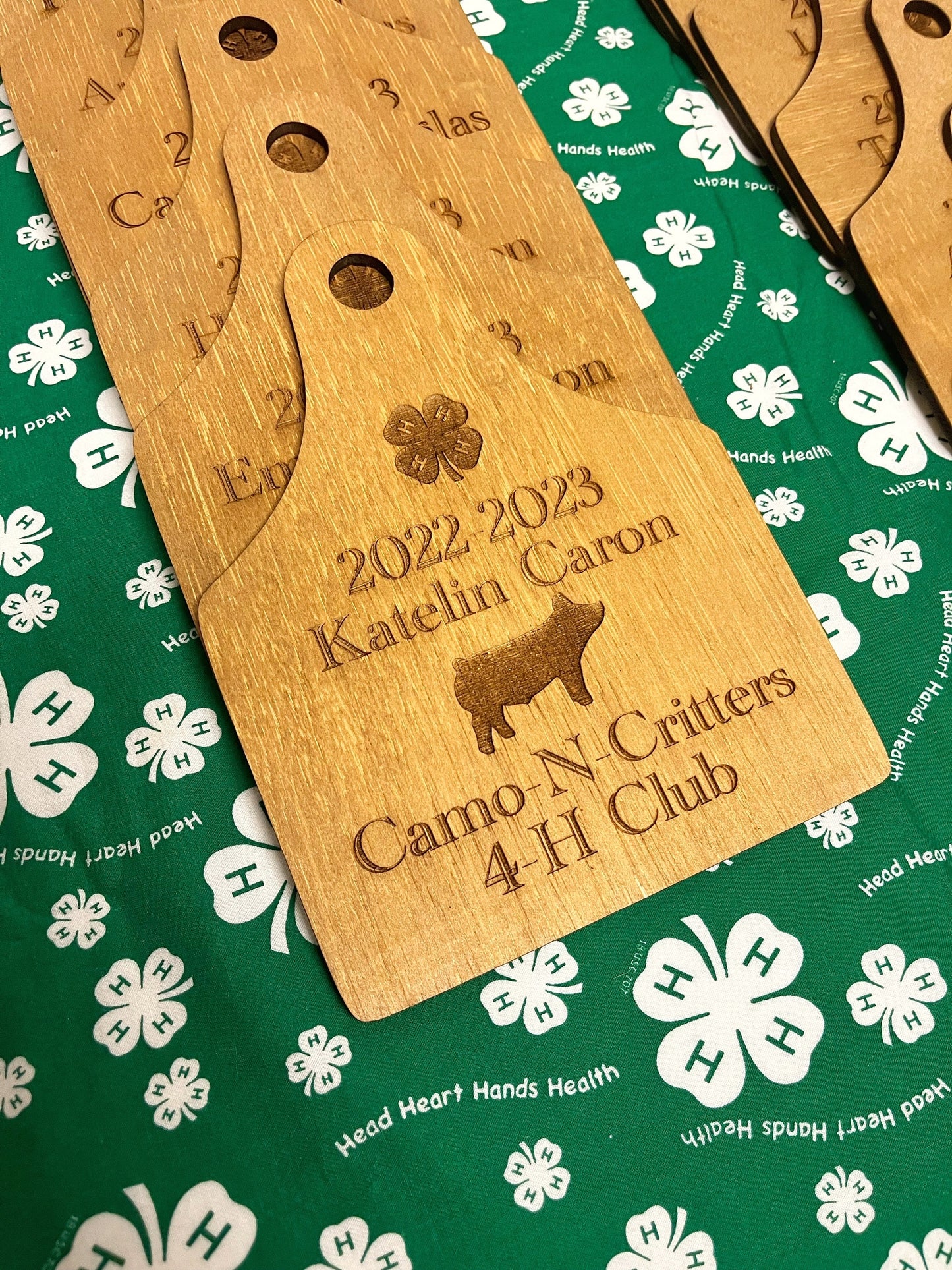 Ear tag 4-H FFA county fair Award plaque, livestock show wooden tag horse show plaque custom designed kids awards for livestock shows